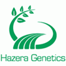 Picture for manufacturer Hazera Genetics